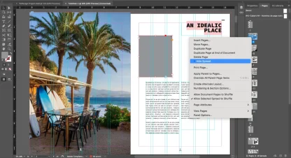 InDesign 2024 - (Pre-Activated w/ Unique Windows) - Image 4