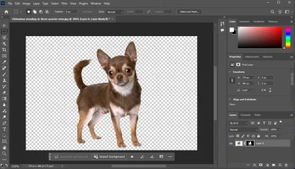 Photoshop 2025 - Portable (Pre-Activated w/ Unique Windows Key) - Image 3